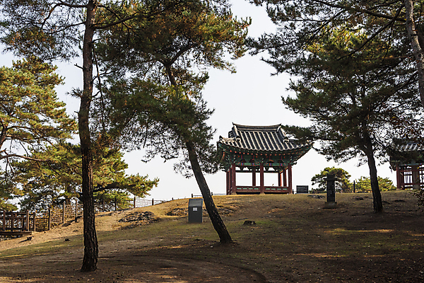 포토 JPG 주간 하늘 사람없음 야외 가을풍경 가을 소나무 정자 숲길 명승지 원호유허비및관란정 제천10경 국내포토 자연요소 나무 건축물 계절 길 풍경 문화재 사당 제천 파일형식 가을_계절
