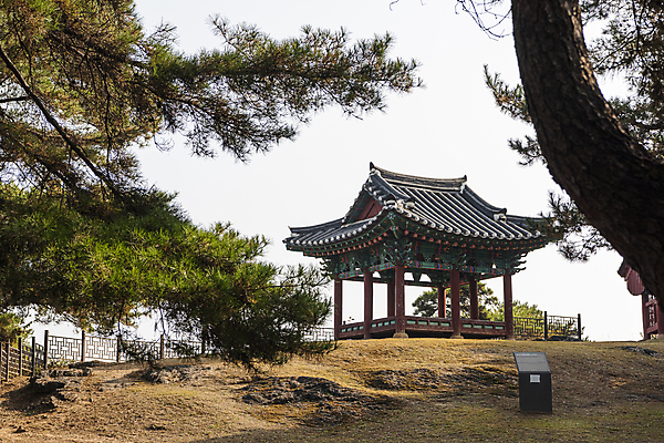 포토 JPG 주간 하늘 사람없음 야외 가을풍경 가을 소나무 정자 명승지 원호유허비및관란정 제천10경 국내포토 자연요소 나무 건축물 계절 풍경 문화재 사당 제천 파일형식 가을_계절
