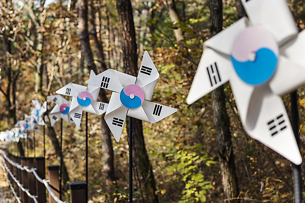 포토 JPG 주간 나무 사람없음 야외 아웃포커스 가을풍경 가을 소프트포커스 태극기 바람개비 숲길 영월 국내포토 자연요소 식물 계절 길 촬영기법 풍경 국기 강원도 파일형식 가을_계절