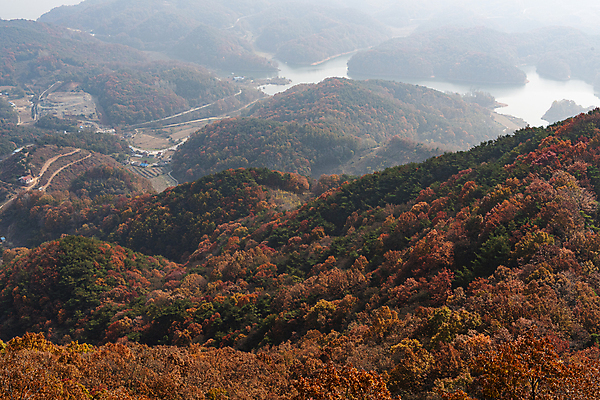 포토 JPG 주간 단풍 산 사람없음 야외 가을풍경 가을 제천 충주호 전경 국내포토 자연요소 계절 호수 잎 풍경 충청북도 충주 파일형식 탑뷰 가을_계절