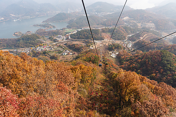 포토 JPG 주간 단풍나무 사람없음 야외 가을풍경 가을 케이블카 제천 충주호 전경 국내포토 자연요소 나무 계절 호수 단풍 풍경 충청북도 충주 파일형식 탑뷰 가을_계절