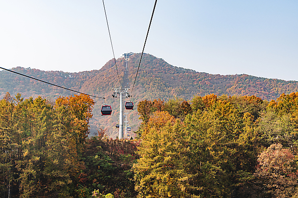 포토 자연요소 나무 계절 단풍 풍경 충청북도 파일형식 가을_계절 단풍나무 산 하늘 케이블카 야외 가을풍경 가을 JPG 주간 사람없음 제천 국내포토