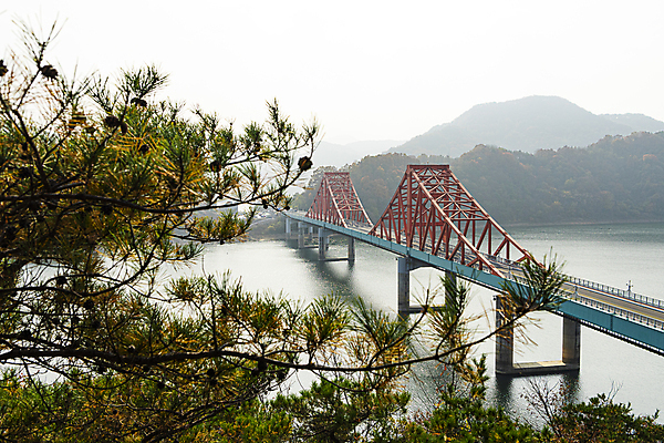 포토 JPG 주간 하늘 사람없음 야외 가을풍경 가을 소나무 솔잎 옥순대교 제천 충주호 국내포토 자연요소 나무 계절 호수 잎 풍경 다리_건축물 충청북도 충주 파일형식 가을_계절