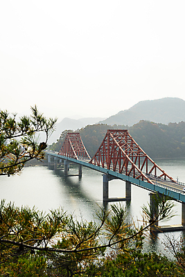 포토 JPG 주간 하늘 산 사람없음 야외 가을풍경 가을 소나무 솔잎 옥순대교 제천 충주호 국내포토 자연요소 나무 계절 호수 잎 풍경 다리_건축물 충청북도 충주 파일형식 가을_계절