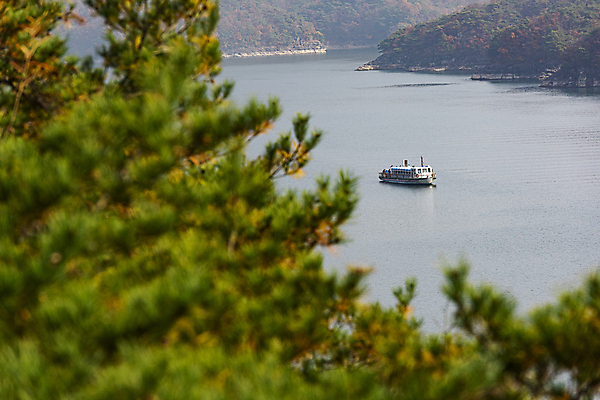 포토 JPG 주간 나뭇잎 사람없음 야외 가을풍경 가을 소프트포커스 유람선 제천 충주호 선박 국내포토 자연요소 계절 호수 수상교통 잎 배_교통 촬영기법 풍경 충청북도 충주 파일형식 가을_계절