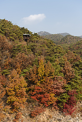 포토 JPG 주간 구름 자연 하늘 산 사람없음 야외 가을풍경 가을 정자 울창 제천 충주호 국내포토 자연요소 건축물 계절 호수 풍경 생태계 충청북도 충주 파일형식 가을_계절