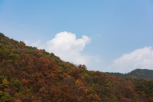 포토 JPG 주간 구름 자연 하늘 산 사람없음 야외 가을풍경 맑음 가을 제천 국내포토 자연요소 계절 날씨 풍경 생태계 충청북도 파일형식 가을_계절
