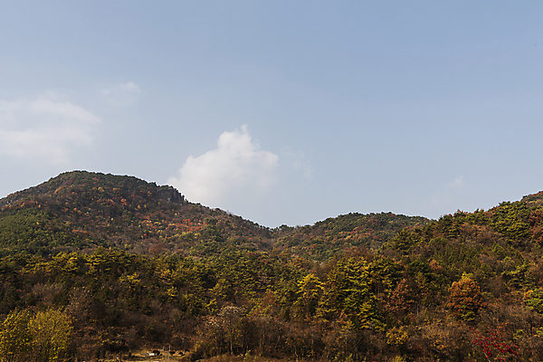포토 JPG 주간 구름 자연 하늘 산 사람없음 야외 가을풍경 가을 울창 제천 옥순봉생태공원 국내포토 자연요소 계절 풍경 생태계 충청북도 파일형식 가을_계절