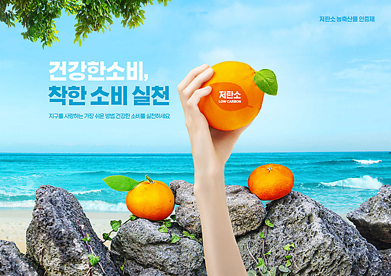 PSD 편집이미지 손 파도 하늘색 오렌지 하늘 나뭇잎 돌담 들기 타이포그라피 해변 신체부위 돌_바위 착한소비 저탄소 저탄소농축산물인증제 이미지편집 문자 바다 잎 과일 모션 사람 파란색 담장 소비 녹색성장 제도 파일형식