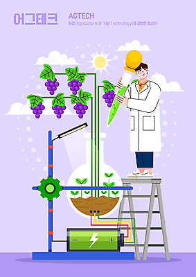 전신 구름 남자 잎 농업 일러스트 사다리 포도 조명 고글 실험 한명 서기 들기 성인 태양 새싹 보라색 연구원 건전지 스포이트 둥근플라스크 성인남자한명만 어그테크 국내일러스트 AI파일 자연요소 식물 직업 1 산업 컬러 과일 모션 사람 도구 플라스크 피펫 남자한명만 성인남자만 파일형식 벡터