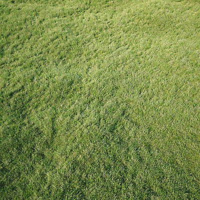 PSD 편집 편집이미지 자연 풍경 잔디 초원 사람없음 초록색 3D 풀 디지털합성 편집소스 이미지편집 편집3D 식물 컬러 생태계 파일형식