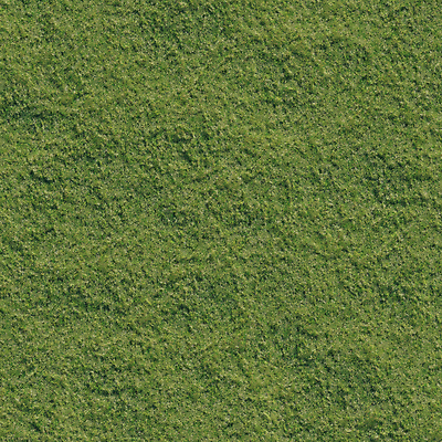 PSD 편집 편집이미지 자연 풍경 잔디 초원 사람없음 초록색 3D 풀 디지털합성 편집소스 이미지편집 편집3D 식물 컬러 생태계 파일형식