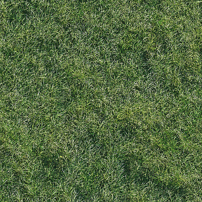 PSD 편집 편집이미지 자연 풍경 잔디 초원 사람없음 초록색 3D 풀 디지털합성 편집소스 이미지편집 편집3D 식물 컬러 생태계 파일형식