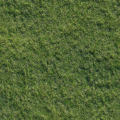 PSD 편집 편집이미지 자연 풍경 잔디 초원 사람없음 초록색 3D 풀 디지털합성 편집소스 이미지편집 편집3D 식물 컬러 생태계 파일형식