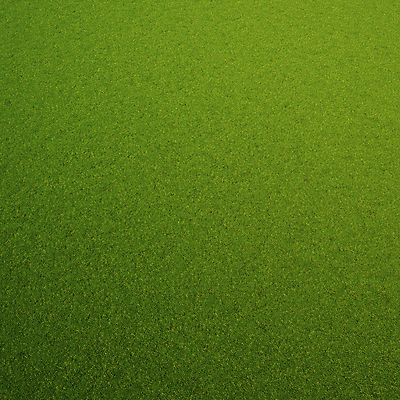 PSD 편집 편집이미지 자연 풍경 잔디 초원 사람없음 초록색 3D 풀 디지털합성 편집소스 이미지편집 편집3D 식물 컬러 생태계 파일형식