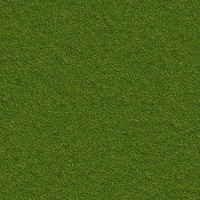 PSD 편집 편집이미지 자연 풍경 잔디 초원 사람없음 초록색 3D 풀 디지털합성 편집소스 이미지편집 편집3D 식물 컬러 생태계 파일형식