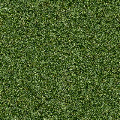 PSD 편집 편집이미지 자연 풍경 잔디 초원 사람없음 초록색 3D 풀 디지털합성 편집소스 이미지편집 편집3D 식물 컬러 생태계 파일형식