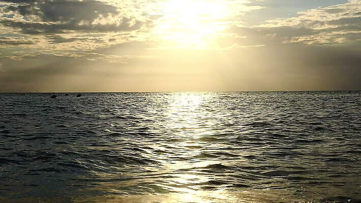 모래 파도 바다 섬 여행 백그라운드 오렌지 자연 하늘 휴가 휴식 사람없음 물 파란색 모래사장 햇빛 태양 일출 맑음 황혼 일몰 새벽 서핑 황금 하와이 대서양 파라다이스 하와이인 수평선 MOV 해외동영상 슬로모션 클립영상 자연요소 외국인 컬러 컨셉 과일 날씨 촬영기법 노을 미국 수상스포츠 생태계 동영상 파일형식