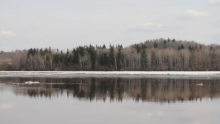 자연 독일 노르웨이 핀란드 아이슬란드 국립공원 이끼 사람없음 물 강 얼음 폭포 오스트리아 숲 러시아 암초 폴란드 라트비아 리투아니아 슬로바키아 에스토니아 MOV 해외동영상 클립영상 자연요소 공원 유럽 북유럽 생태계 동영상 파일형식