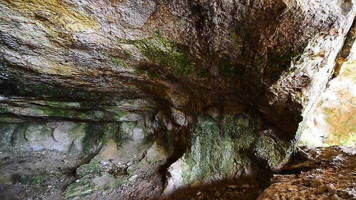 여행 자연 사람없음 내부 물 파란색 여행객 폭포 연못 신선 동굴 신비 아래 뿌리 공상 지하 유카탄 마야 석호 내추럴 깊이 랜드마크 지질 지질학 환상 MOV 해외동영상 클립영상 자연요소 교육 컬러 컨셉 멕시코 사람 방향 생태계 위치 마야문명 동영상 파일형식