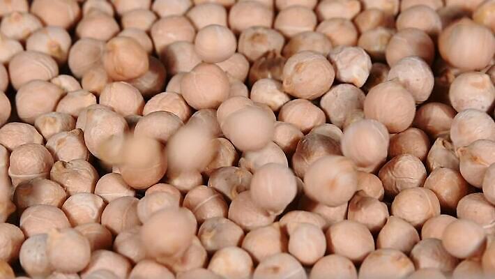 음식 백그라운드 재료 모션 탁자 표면 콩 건조 건강 요리 사람없음 목재 주방 붓기 닫기 자르기 시리얼 먹기 롤 쏟아짐 느림 흙더미 내추럴 그런지 병아리콩 튕기기 많음 MOV 해외동영상 클립영상 나무 가구 컨셉 곡류 흙 동영상 파일형식 더미