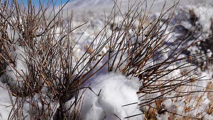 구름 공원 모래 여행 겨울 자국 자연 하늘 휴가 산 건조 파노라마 풍경 사람없음 야외 파란색 계곡 맑음 미국 트래킹 하이킹 사막 흰색 황무지 숲 언덕 캘리포니아 통과 내추럴 요세미티국립공원 전국 절정 4K MP4 해외동영상 클립영상 자연요소 계절 공공시설 컬러 북아메리카 레저 날씨 촬영기법 국립공원 생태계 동영상 파일형식