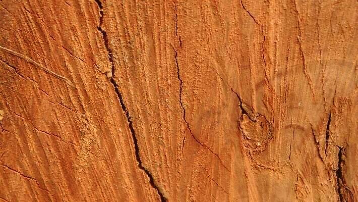 디자인 가구 백그라운드 건축양식 자연 날씨 건조 건설업 사람없음 목재 장식 환경 페인트 골동품 소나무 거친 피부 유기농 목공예 시들음 지질학 콘크리트 합판 카피스페이스 MP4 해외동영상 클립영상 나무 웰빙 교육 건축 산업 생활용품 재료 신체부위 공백 공예 생태계 동영상 파일형식