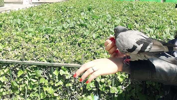 손 공원 행복 유럽 문화 여행 건축양식 모션 조류 휴가 거리 사랑 사람없음 건물 여행객 정원 궁전 프랑스 바위 도시 그룹 역사 먹이 낟알 먹기 심볼 비둘기 느림 천연기념물 프랑스어 랜드마크 수유 파리(프랑스) MOV 해외동영상 슬로모션 클립영상 동물 문자 건축물 공공시설 건축 감정 나라 고건축 촬영기법 사람 신체부위 돌_바위 동영상 파일형식