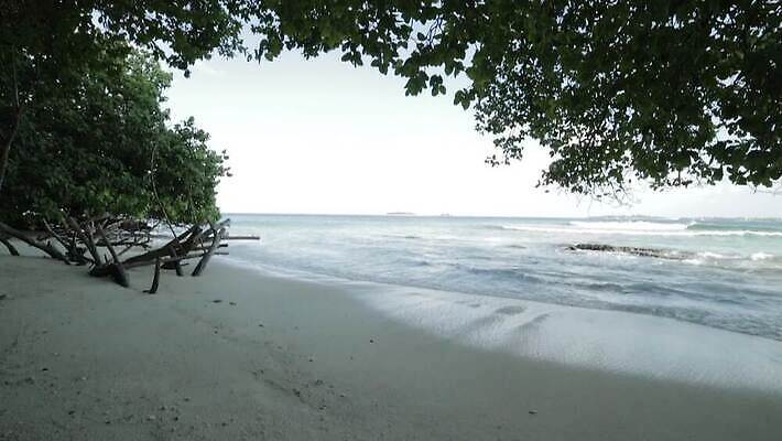 아시아 모래 파도 바다 섬 여행 백그라운드 자연 하늘 휴가 휴식 손바닥 해변 사람없음 야외 물 파란색 야자수 맑음 흰색 휴양지 하와이 코코넛 몰디브 도미니카공화국 마이애미 바하마 이국적 터키석 파라다이스 MOV 해외동영상 클립영상 자연요소 나무 손 나라 컬러 컨셉 과일 날씨 미국 장소 남아메리카 보석 생태계 동영상 파일형식