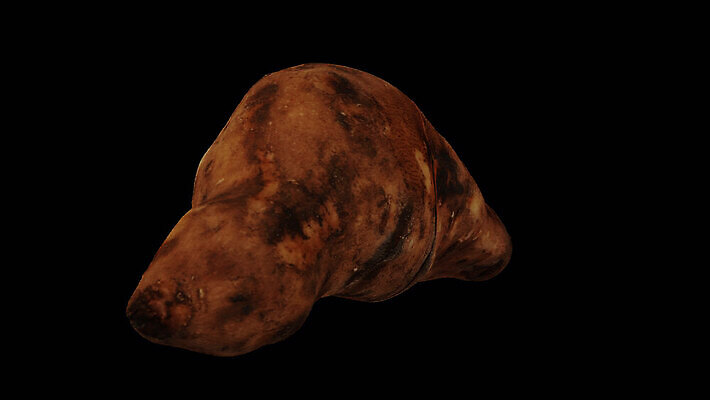 모델 음식 백그라운드 채소 열쇠 가면 사람없음 가로 세로 농작물 3D 스크린 투명 고리 보행로 달콤 자르기 오브젝트 회전 만들기 뿌리 고립 돌리기 무한 스캔 완벽 진짜 채널 페루 현실 디테일 MOV 해외동영상 클립영상 길 컨셉 농업 모션 남아메리카 맛 디지털합성 동영상 파일형식