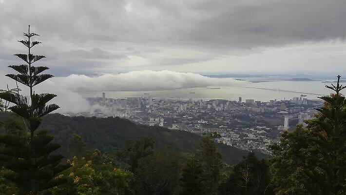 나무 구름 길 바다 컬러 섬 여행 백그라운드 잎 자연 하늘 아침 바람 산 풍경 사람없음 목재 초록색 물 파란색 빛 컬러풀 햇빛 태양 일출 놀람 안개 광선 도시 황금 저녁 언덕 속도 동쪽 말레이시아 뿌연 수평선 4K 타임랩스 페낭 MP4 해외동영상 클립영상 주간 자연요소 식물 감정 아시아 재료 날씨 촬영기법 표정 노을 야간 방향 생태계 동영상 파일형식