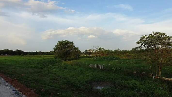 구름 여행 백그라운드 밭 농업 자연 하늘 날씨 풍경 사람없음 야외 초록색 파란색 농장 여행객 마을 환경 맑음 활발 시골 땅 에코 내추럴 생태학 평야 4K MOV 해외동영상 클립영상 자연요소 교육 산업 컬러 컨셉 사람 생태계 동영상 파일형식