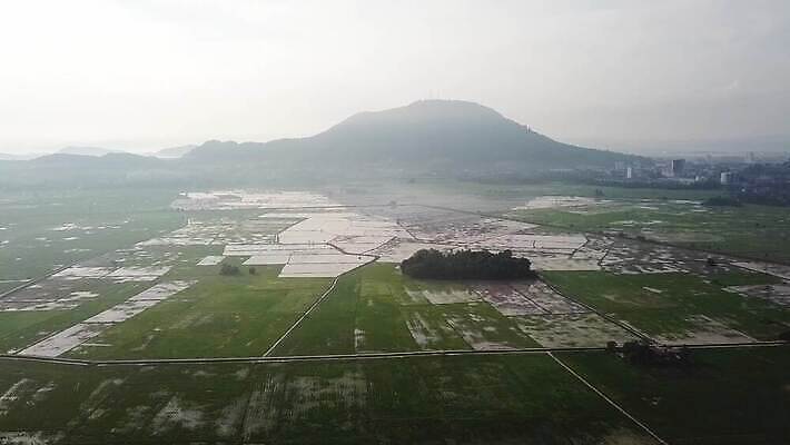 식물 아시아 여행 백그라운드 패턴 농업 자연 하늘 아침 풍경 잔디 초원 사람없음 야외 초록색 여름 농장 농경지 일출 환경 시골 황금 땅 언덕 발리 내추럴 논밭 4K MOV 해외동영상 클립영상 주간 계절 나라 산업 컬러 섬 무늬 밭 논 노을 생태계 인도네시아 동영상 파일형식