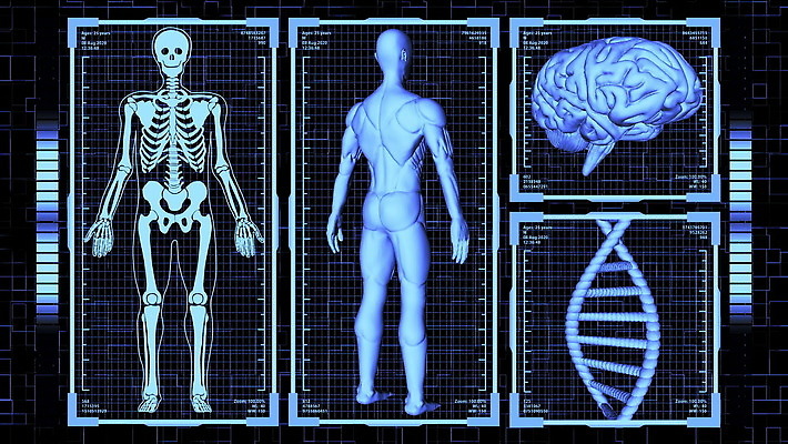 디자인 과학 백그라운드 컨셉 신체 해부 추상 미래 골격 엑스레이 건강 병원 사람없음 그래픽 파란색 약 머리 3D 디지털 스크린 자료 인포그래픽 시험 의사 오르간 DNA 생명공학 분석 뇌 시스템 혁명 UI 계기판 엘리먼트 인터페이스 홀로그램 가상 4K MOV 해외동영상 AI_인공지능 클립영상 교육 컬러 무늬 의학 신체부위 의료진 건반악기 디지털합성 동영상 파일형식