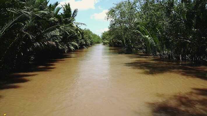 식물 전통 아시아 여행 밭 동양인 사람없음 초록색 강 시골 도시 보트 시장 숲 생태계 문서 베트남 남쪽 메콩강 4K MOV 해외동영상 클립영상 나라 컬러 농업 배_교통 인종 동남아시아 방향 동영상 파일형식