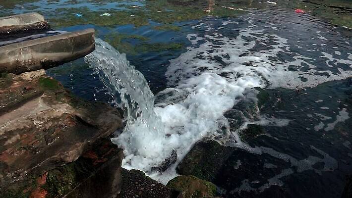 식물 호수 바다 공장 자연 사람없음 물 강 환경 흐름 연못 개울 해조류 오염 쓰레기 폐기물 운하 낭비 폐수 하수 MOV 해외동영상 슬로모션 클립영상 자연요소 컨셉 공업 촬영기법 해양식물 환경오염 생태계 동영상 파일형식