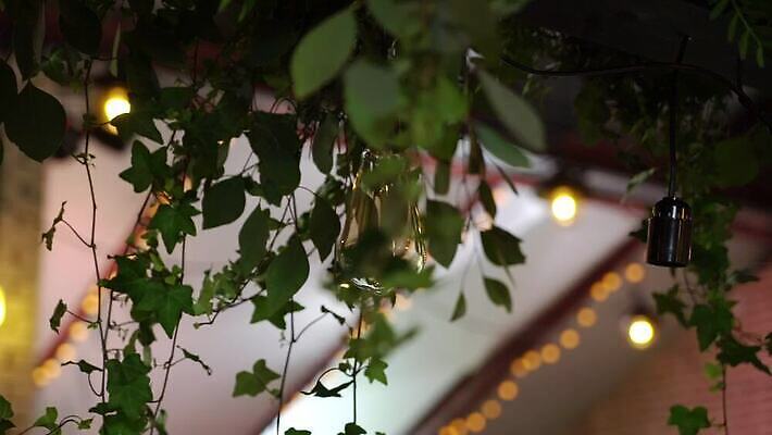 줄 결혼 전구 휴가 조명 주택 매달리기 사람없음 장식 빛 노란색 파티 축제 화환 황혼 모임 수확 등불 램프 축하 야간 저녁 오브젝트 잔치 보케 빛망울 광 뒤뜰 텅스텐 MOV 해외동영상 클립영상 자연요소 꽃 컬러 컨셉 농업 모션 이벤트 건물 일몰 원소 동영상 파일형식