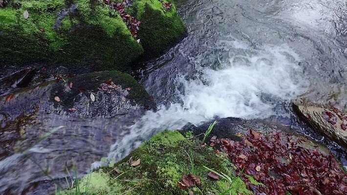 선 파도 백그라운드 패턴 모션 자연 추상 산 사람없음 물 파란색 강 달리기 힘 소리 봄 폭포 젖음 흐름 안개 가을 바위 흰색 액체 개울 급류 닫기 떨어짐 홍수 순수 질감 장면 내추럴 4K MP4 해외동영상 클립영상 자연요소 계절 바다 컬러 컨셉 무늬 날씨 돌_바위 자연재해 생태계 동영상 파일형식