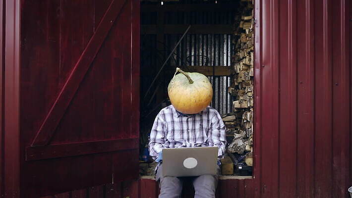 남자 얼굴 백그라운드 컨셉 채소 오렌지 비즈니스 자연 호박 성공 휴가 생물 주택 관리 가면 한명 서기 사람 앉기 야외 노트북 컴퓨터 머리 기쁨 할로윈 시골 등불 타이핑 잡기 업무 비즈니스맨 무서움 창고 흥분 바보 크리스마스이브 프리랜서 호러 4K MOV 해외동영상 클립영상 직업 1 감정 크리스마스 과일 모션 조명 건물 신체부위 전자제품 작업 직장인 생태계 공포 동영상 파일형식