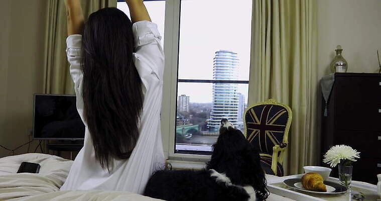 동물 라이프스타일 여자 창문 가정 잉글랜드 아파트 실내 한명 풍경 성인 일상 30대 반려동물 인테리어 가축 스패니얼 우아함 개 런던 시티라이프 단아함 성인여자만 4K MOV 해외동영상 클립영상 1 디자인 컨셉 포유류 영국 주택 사람 내부 라이프 생활 장년 동영상 여자만 성인만 파일형식