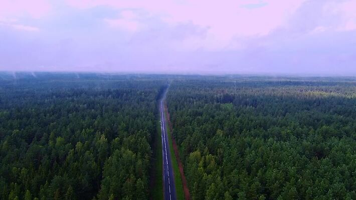 나무 유럽 도로 길 여행 백그라운드 교통시설 자동차 자연 안테나 풍경 사람없음 야외 초록색 여름 환경 운전 가을 시골 소나무 황무지 정상 숲 아스팔트 슛 장면 내추럴 항공촬영 넘어짐 드론 삼림지대 MOV 해외동영상 클립영상 식물 계절 나라 육상교통 뷰포인트 컬러 교통 통신 모션 시설 생태계 동영상 파일형식