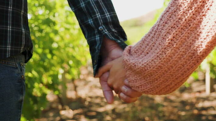 백인 라이프스타일 커플 여자 남자 밭 관계 자연 포도 휴가 함께함 사랑 사람 야외 여행객 걷기 와인 손잡기 낭만 자유 시골 잡기 결합 포도밭 포도나무 돌봄 양조장 정확 4K MOV 해외동영상 클립영상 서양인 감정 컨셉 농업 과일 모션 주류 생활 과일나무 생태계 동영상 파일형식