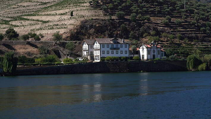 유럽 벽 여행 밭 농업 자연 경사 사람없음 야외 초록색 강 농장 와인 계곡 시골 보행로 크루즈 포르투갈 묘사 언덕 포도밭 포도나무 포트 계단식 추적 도루강 양조장 옛날 4K MOV 해외동영상 클립영상 나라 산업 길 컬러 배_교통 모션 주류 과일나무 생태계 동영상 파일형식