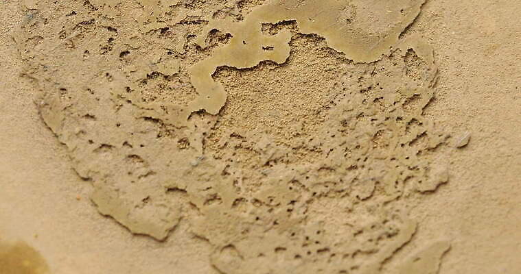 디자인 아시아 도로 모래 파도 여행 백그라운드 패턴 자연 추상 휴가 미술 사람없음 환경 맑음 희망 사막 시간 뜨거움 구멍 야간 저녁 사파리 언덕 질감 온도 동쪽 고립 방법 오해 진짜 케랄라주 4K MOV 해외동영상 클립영상 자연요소 감정 나라 길 바다 무늬 교통시설 날씨 문화예술 인도_나라 방향 생태계 동영상 파일형식