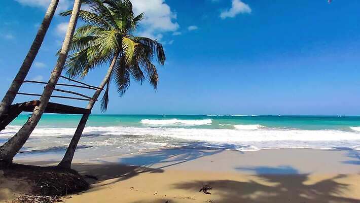 나무 모래 바다 섬 여행 자연 하늘 손바닥 사람없음 물 파란색 강 모래사장 야자수 태양 일몰 탐험 신선 대서양 내추럴 공화국 도미니카공화국 민물 이국적 코스타리카 파라다이스 4K MP4 해외동영상 클립영상 자연요소 식물 손 나라 컬러 노을 남아메리카 중앙아메리카 생태계 동영상 파일형식