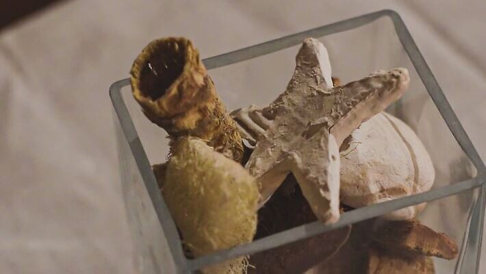 식물 동물 야생동물 선 컬러 포즈 백그라운드 잎 채소 교통시설 자연 탁자 연체동물 무척추동물 주택 나선형 사람없음 목재 장식 초록색 갈색 정원 화목 젖음 터치 껍질 신선 숲 작음 심볼 명상 속도 싱글 덮기 느림 땅바닥 민달팽이 끈적임 4K MOV 해외동영상 클립영상 나무 가구 교통 컨셉 무늬 재료 모션 바닥 건물 크기 시설 생태계 동영상 파일형식 달팽이_동물