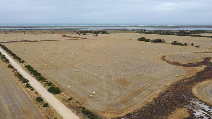 나무 구름 바다 여행 농업 하늘 날씨 건조 풍경 사람없음 야외 초록색 물 파란색 강 농장 갈색 환경 호주 볏짚 동영상 드론 밭일 4K MP4 해외동영상 클립영상 자연요소 식물 산업 컬러 오세아니아 짚 파일형식