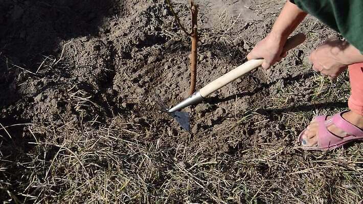 손 얼굴 생각 사람 사람없음 농작물 마을 폭포 표현 고독 질병 명상 부식 노숙자 방법 쇠스랑 치매 MOV 해외동영상 클립영상 감정 농업 의학 자연 신체부위 동영상 파일형식
