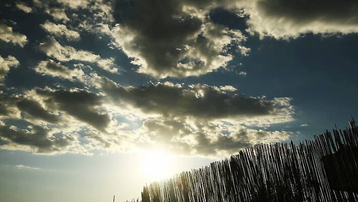 오렌지 자연 하늘 사람없음 빛 햇빛 태양 일몰 자유 광선 시간 황금 천국 염원 파라다이스 타임랩스 MOV 해외동영상 클립영상 자연요소 컨셉 과일 촬영기법 노을 생태계 동영상 파일형식