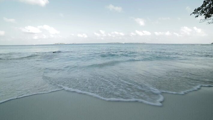 아시아 모래 파도 바다 섬 여행 백그라운드 자연 하늘 휴가 휴식 손바닥 해변 사람없음 야외 물 파란색 야자수 맑음 흰색 휴양지 하와이 코코넛 몰디브 도미니카공화국 마이애미 바하마 이국적 터키석 파라다이스 MOV 해외동영상 클립영상 자연요소 나무 손 나라 컬러 컨셉 과일 날씨 미국 장소 남아메리카 보석 생태계 동영상 파일형식